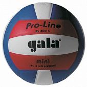 Мяч волейбольный Gala Pro-Line BV4051SAE - Киев, Украина Мяч волейбольный Gala Pro-Line BV4051SAE - купить в Киеве и Украине